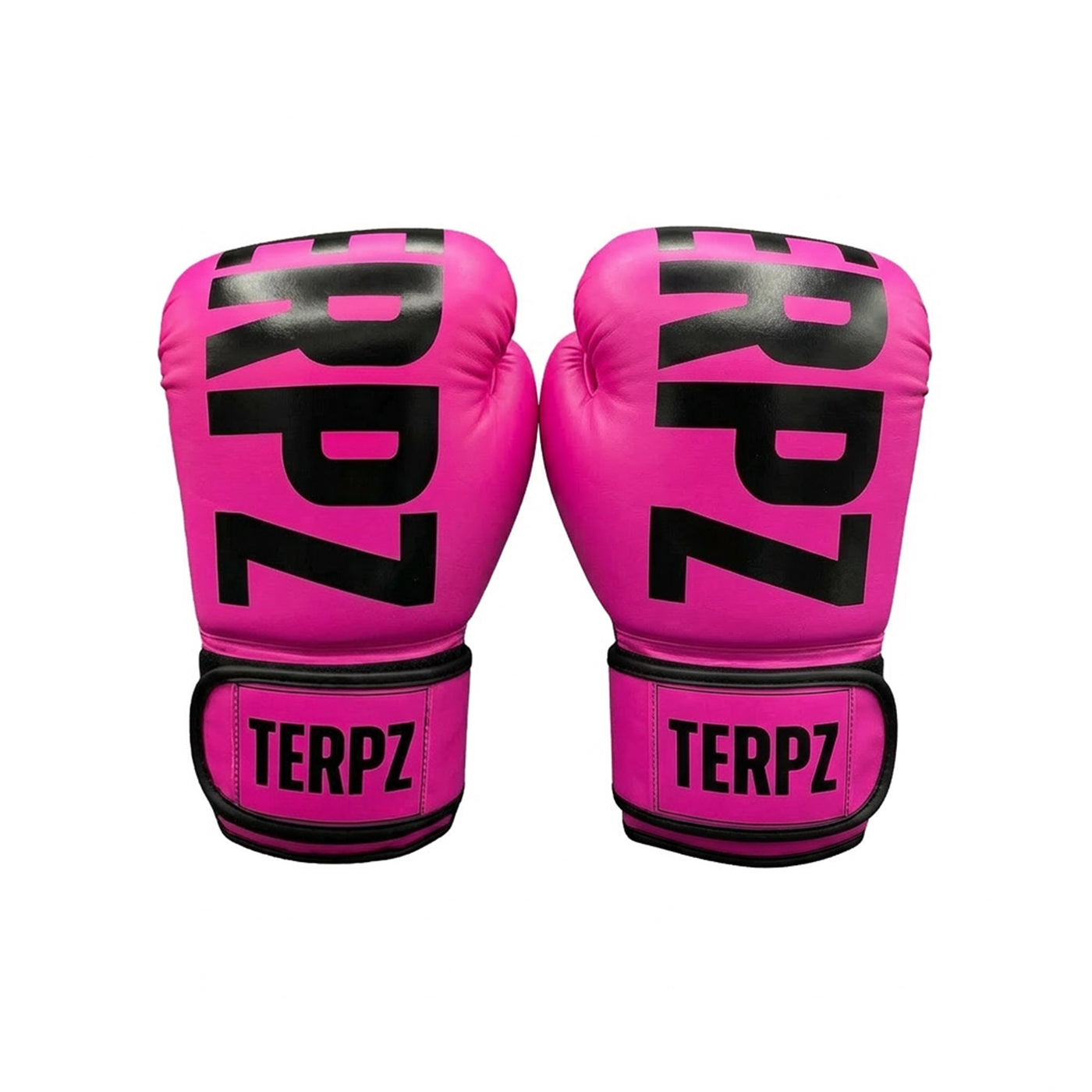 TERPZ Boxing Gloves