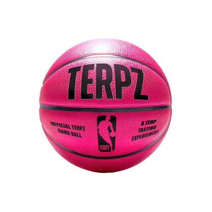 Official TERPZ Game Ball & Air Pump